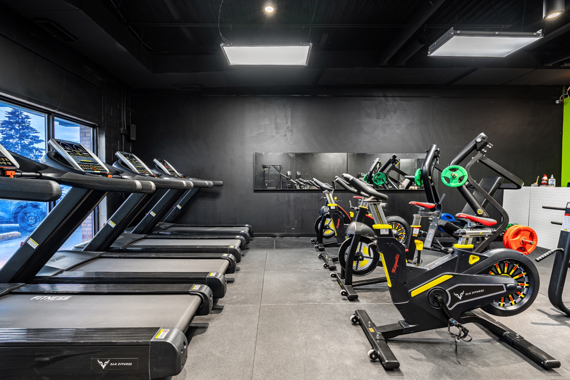 Row of treadmills facing the front window with spin bikes opposite at Elk Fitness